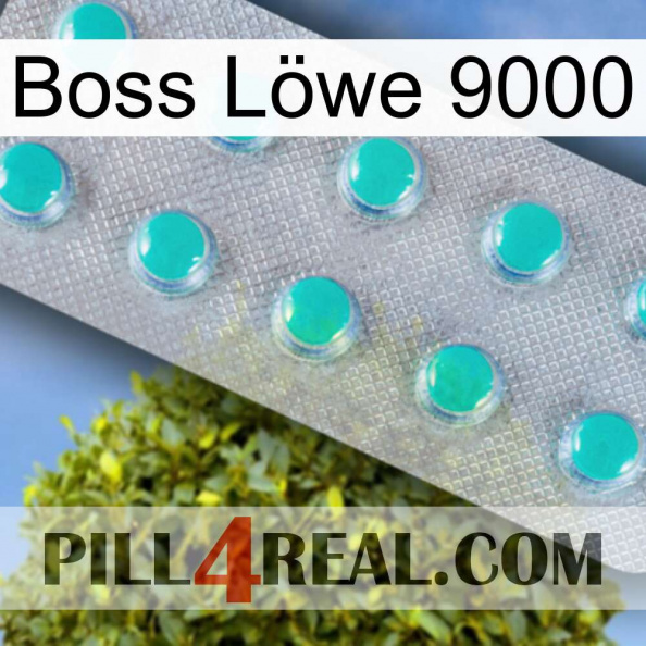 Boss Löwe 9000 28.jpg